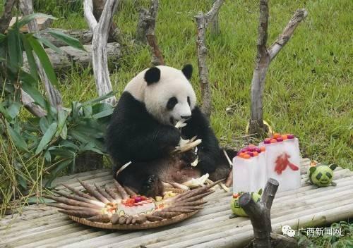 娱乐吃瓜酱南宁动物园,探秘动物乐园，共享欢乐时光  第2张