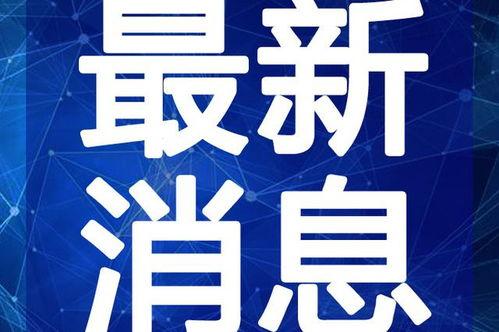 厦门体育爆料最新消息视频,视频揭秘精彩瞬间与幕后故事
