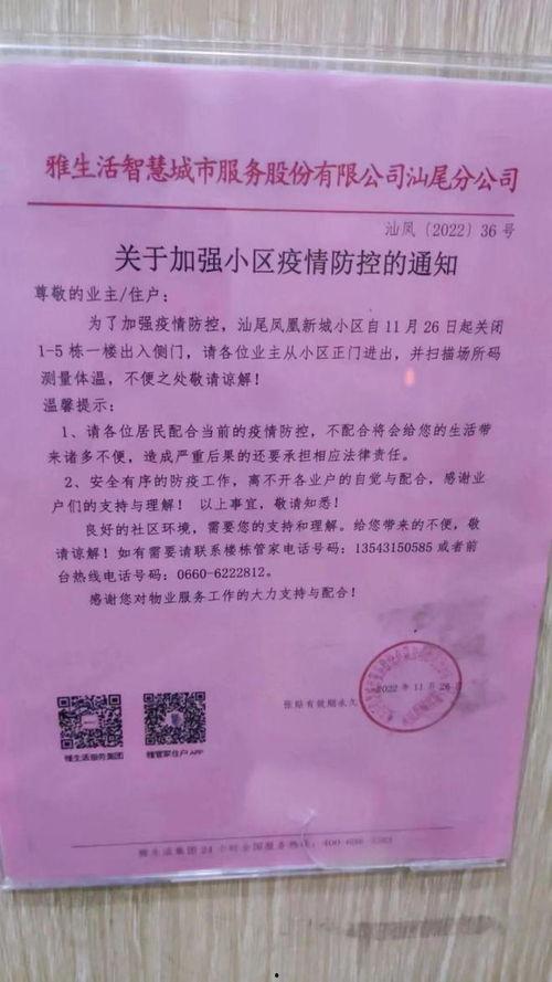 海丰爆料网最新消息视频,热点事件深度解析