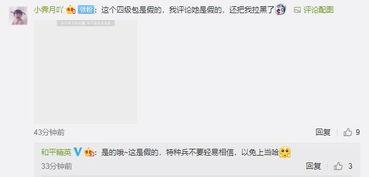 小白爆料视频在线观看,揭秘幕后真相，带你领略网络世界的真实面貌