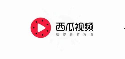 今日头条西瓜视频爆料,揭秘热门事件背后真相  第3张